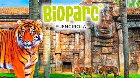 Selwo Aventura o Bioparc Fuengirola